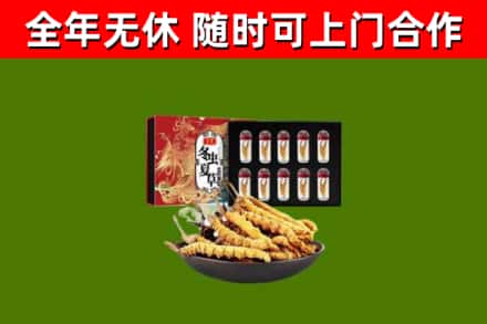 娄烦县回收冬虫夏草价格