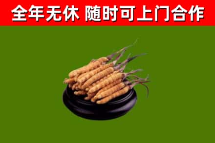 娄烦县烟酒回收冬虫夏草.jpg
